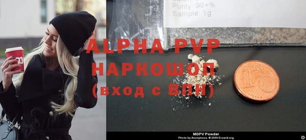 молекула духа Гусиноозёрск