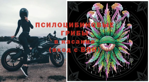 герыч Дмитриев