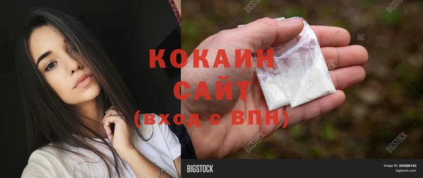 молекула духа Гусиноозёрск