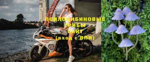 альфа пвп Гусь-Хрустальный