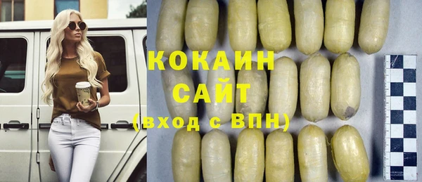 кокс Гусев