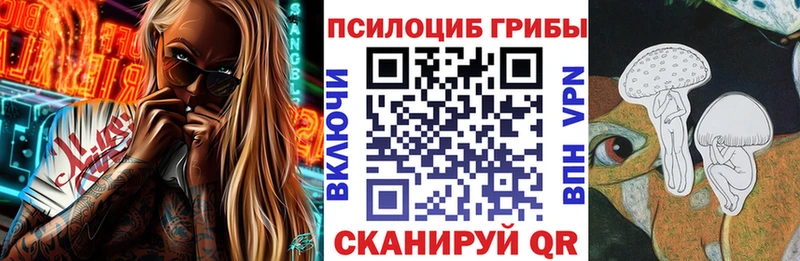Купить где  Семёнов  Псилоцибиновые грибы мицелий 